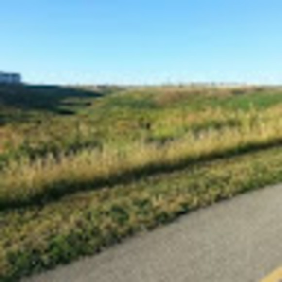 Meet your Posher, Almas - Picture 1 of 1